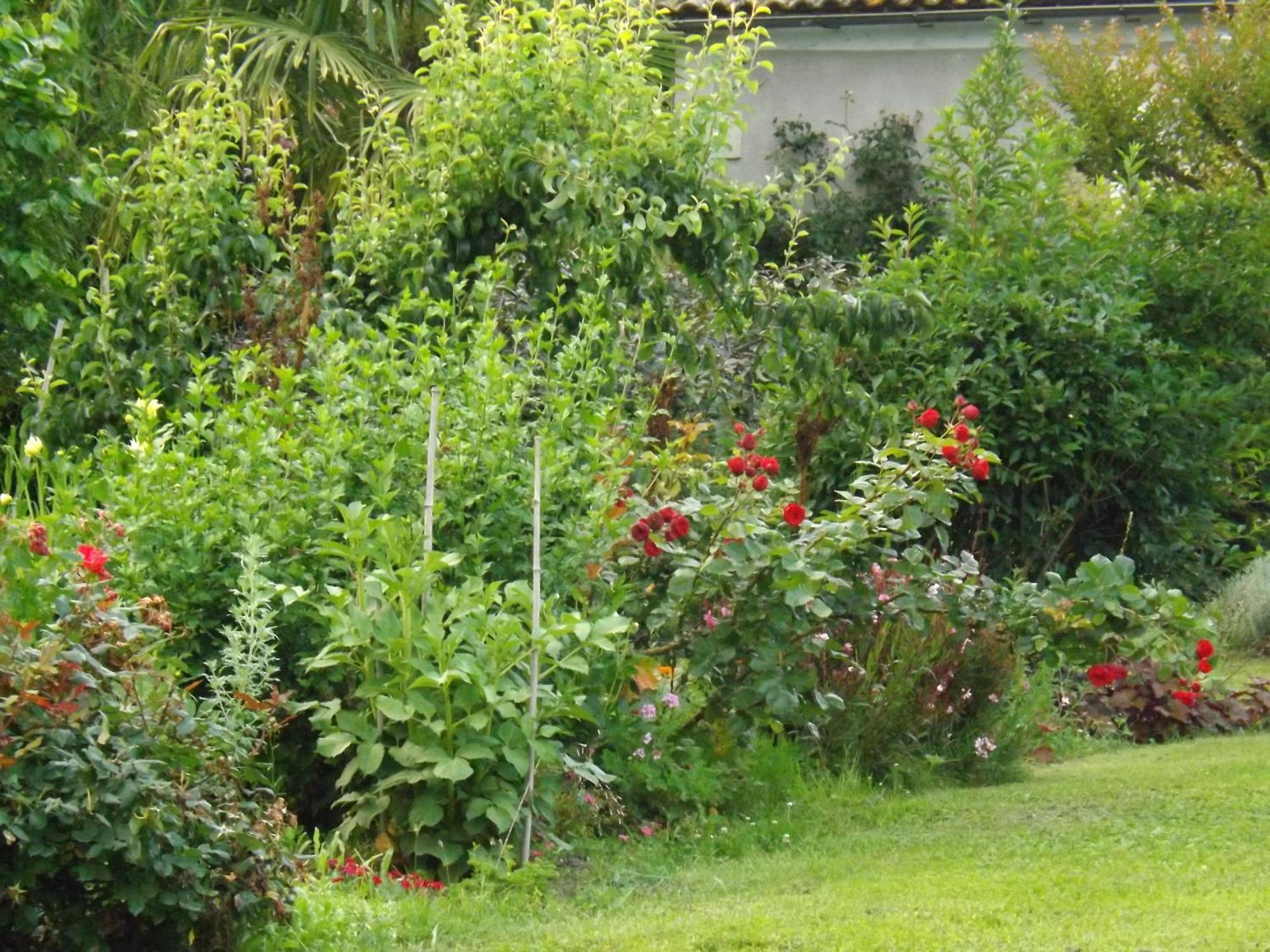 Bed and Breakfast DameChouette Pujols  Exterior foto